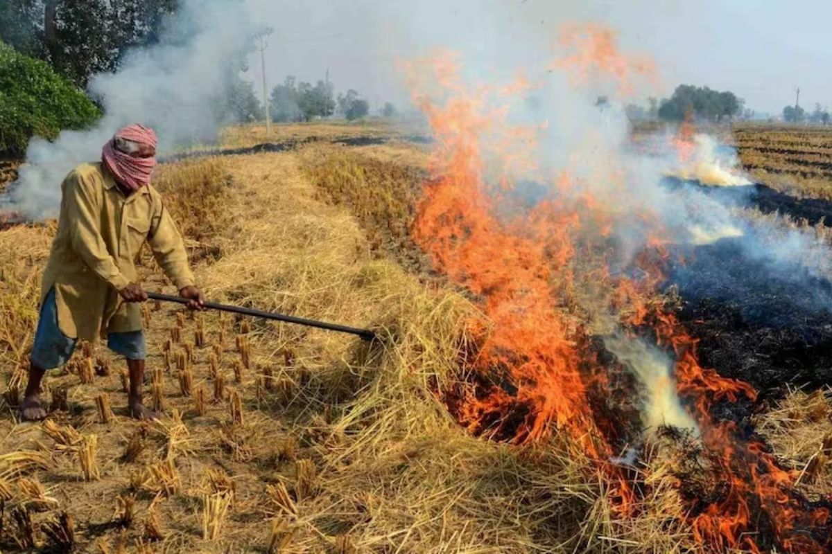 Punjab farmers start burning stubble before winter